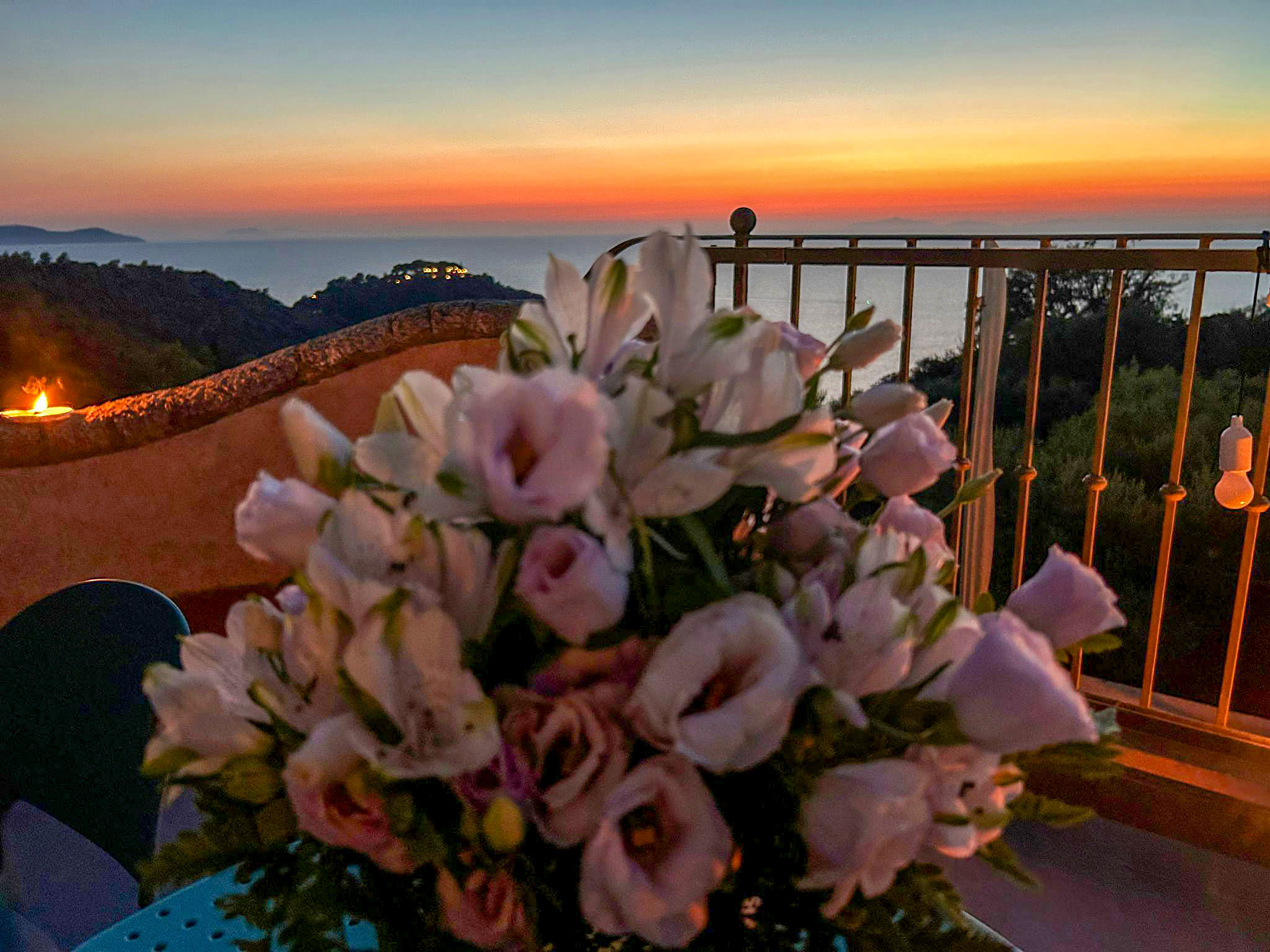 9881d6a3-012f-4a0e-b1bf-8e408b203ffb